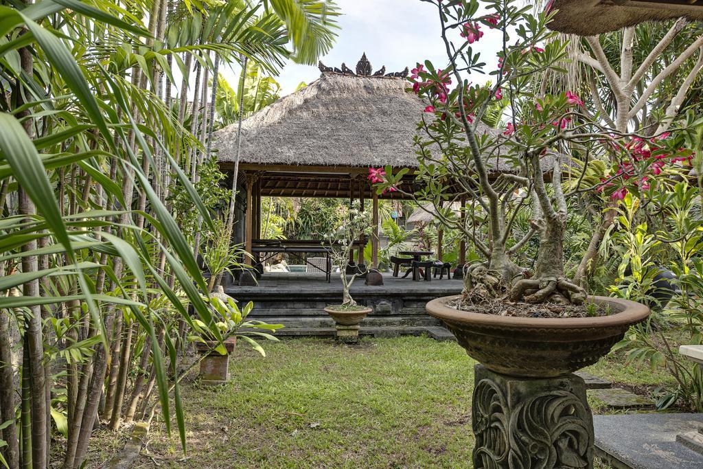 Villa Hibiscus Sanur Extérieur photo